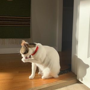 Meet your Posher, Danny